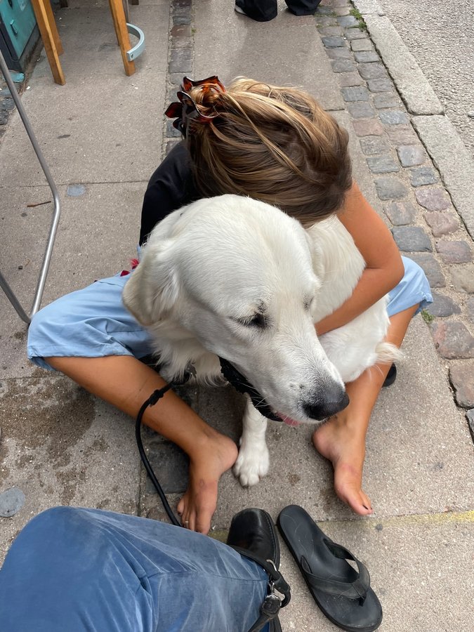 Instagram post by @katarinakrebs for Louis Poulsen. Caption reads: meeeeip 🎀 annonce.