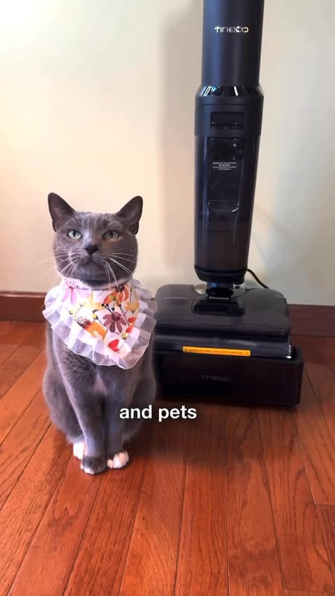 Instagram post by @purrfectinfluencer for Tineco. Caption reads: The @tinecoglobal Steam Vac is a must for pet....