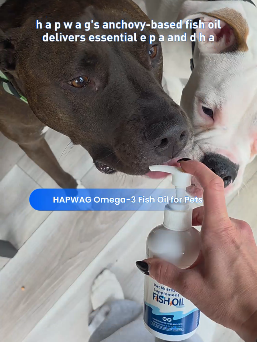 TikTok post by @thebreezyboo for HapWag. Caption reads: The boys LOVE this fish oil! @HAPWAG.BANG.
