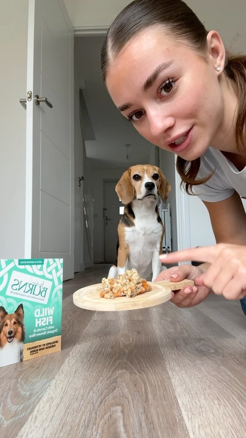 Instagram post by @beagleskiko for Burns Pet Food. Caption reads: Can Kiki resist Burns dog food…? 🤔

Mama had a....