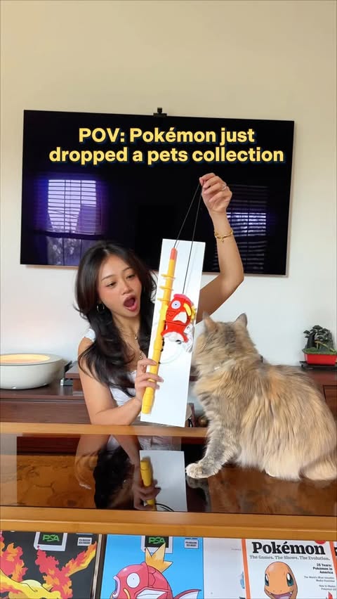 Instagram post by @hangtw for Pokémon. Caption reads: This might be the cutest Pokémon collection yet.....