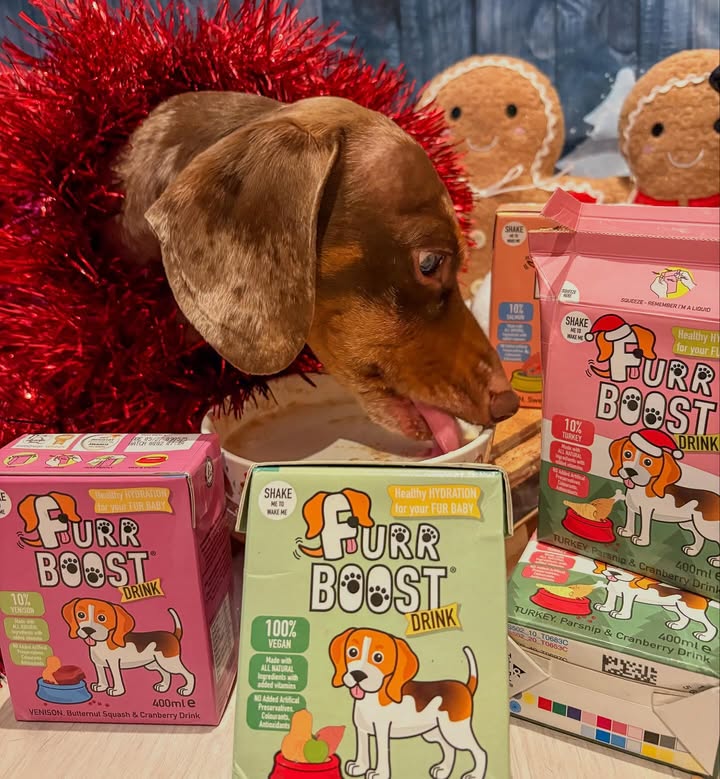 Instagram post by @bailey_chocolate21 for Furr Boost. Caption reads: 🎄✨ Snack Sunday ✨🎄

Who else loves @furr_boost....