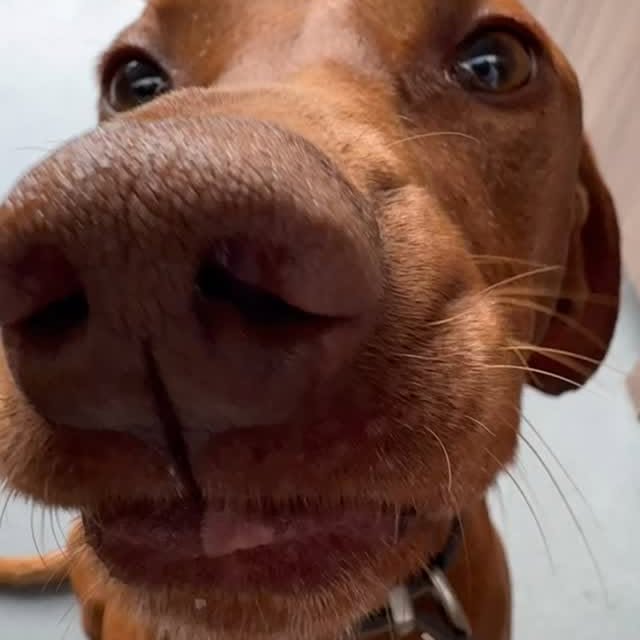 Instagram post by @_katiebrennan for Noise Producer. Caption reads: Recovery morning for me, Go Get from....