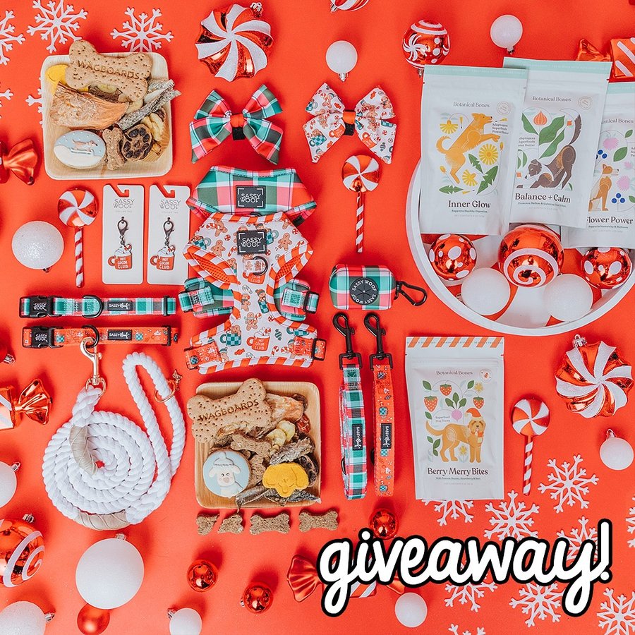 Instagram post by @wagboards for Sassy Woof. Caption reads: ⊹ On the 1st Day of Christmas, Sassy Woof presents....