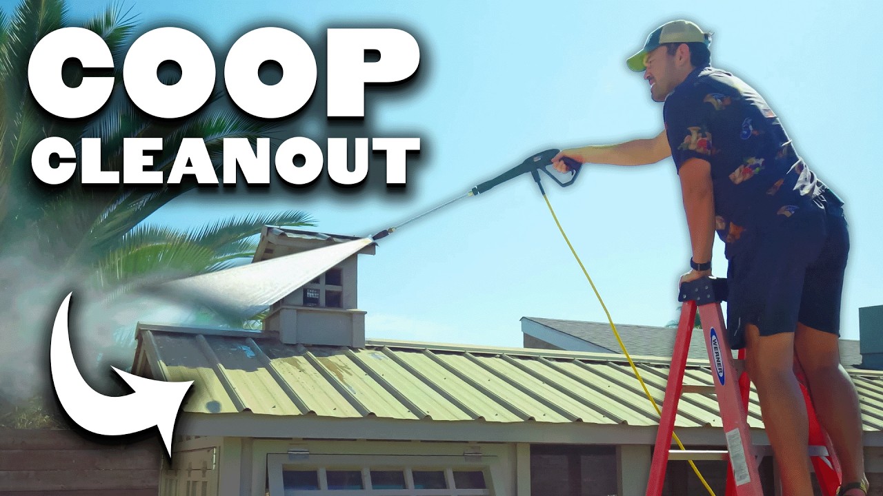 YouTube post by @epichomesteading for Grubbly Farms. Caption reads: [...] for 30% off their first Grubbly Farms....