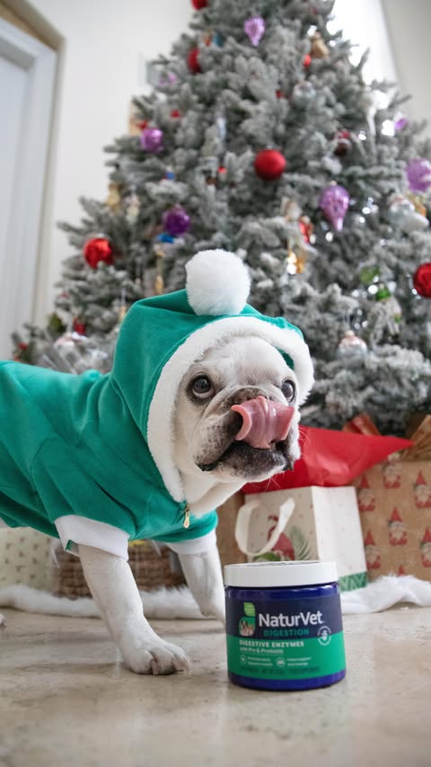 Instagram post by @mallowfrenchie for NaturVet. Caption reads: @naturvet Digestive Enzymes to the rescue! {ad}....