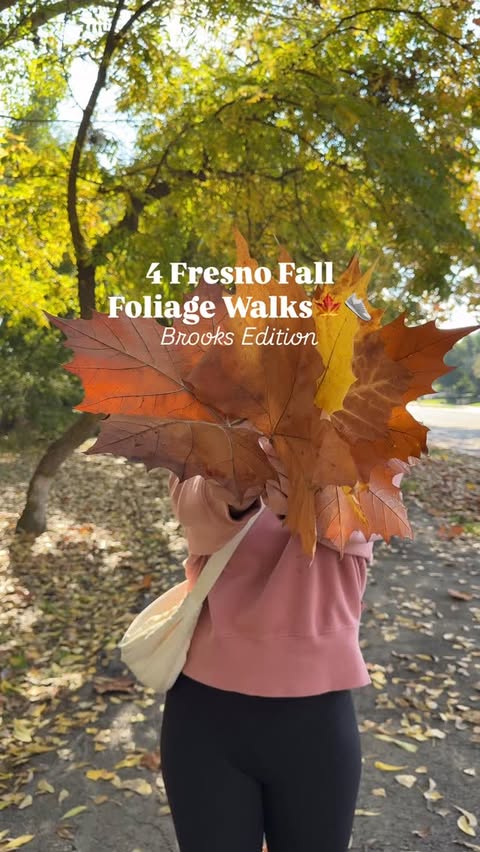 Instagram post by @cassiescompass for Brooks Running. Caption reads: 4 Fresno Fall Foliage Walks🍂👟 (Brooks....