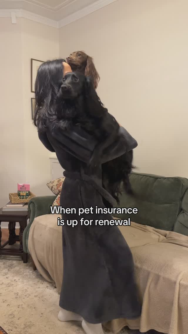 Instagram post by @cocker.milly for Beco Pets. Caption reads: I wonder if their insurance will accept @beco_pets....