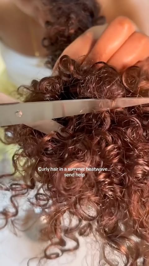 Instagram post by @afsaanah for Coco & Eve. Caption reads: AD Summer humidity vs my curls… and my curls won....