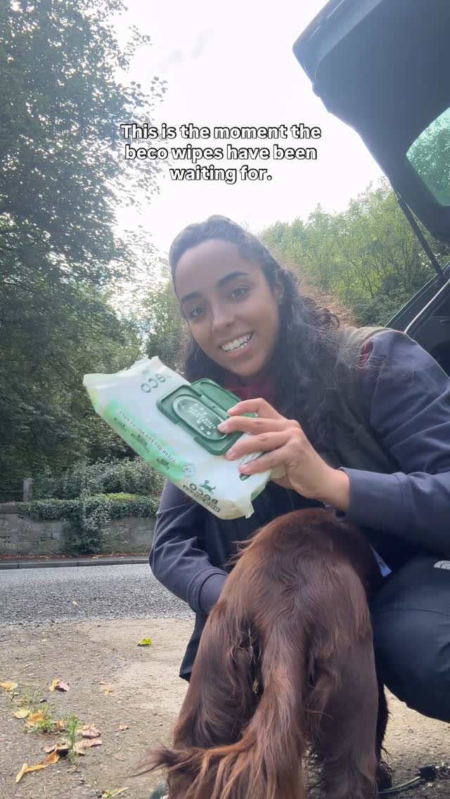 Instagram post by @cocker.milly for Beco Pets. Caption reads: [...] orders *ad #cockerspaniel #dogmum #becopets.