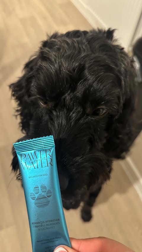 Instagram post by @osc.arthecockapoo for Pawer Water. Caption reads: [...] key 🫧 Kindly got these #gifted from....