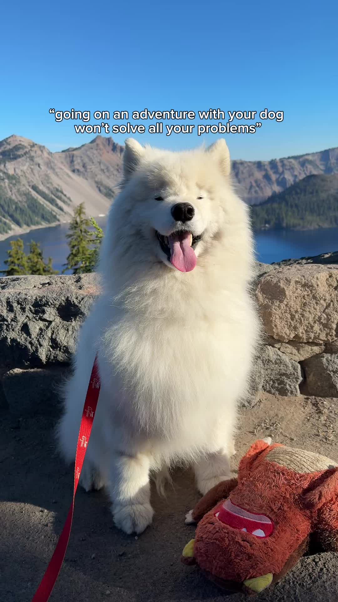 TikTok post by @life.with.a.landcloud for ORIJEN Petfoods. Caption reads: 🎉ADVENTURE KIT GIVEAWAY TIME! 🎉 Join the....