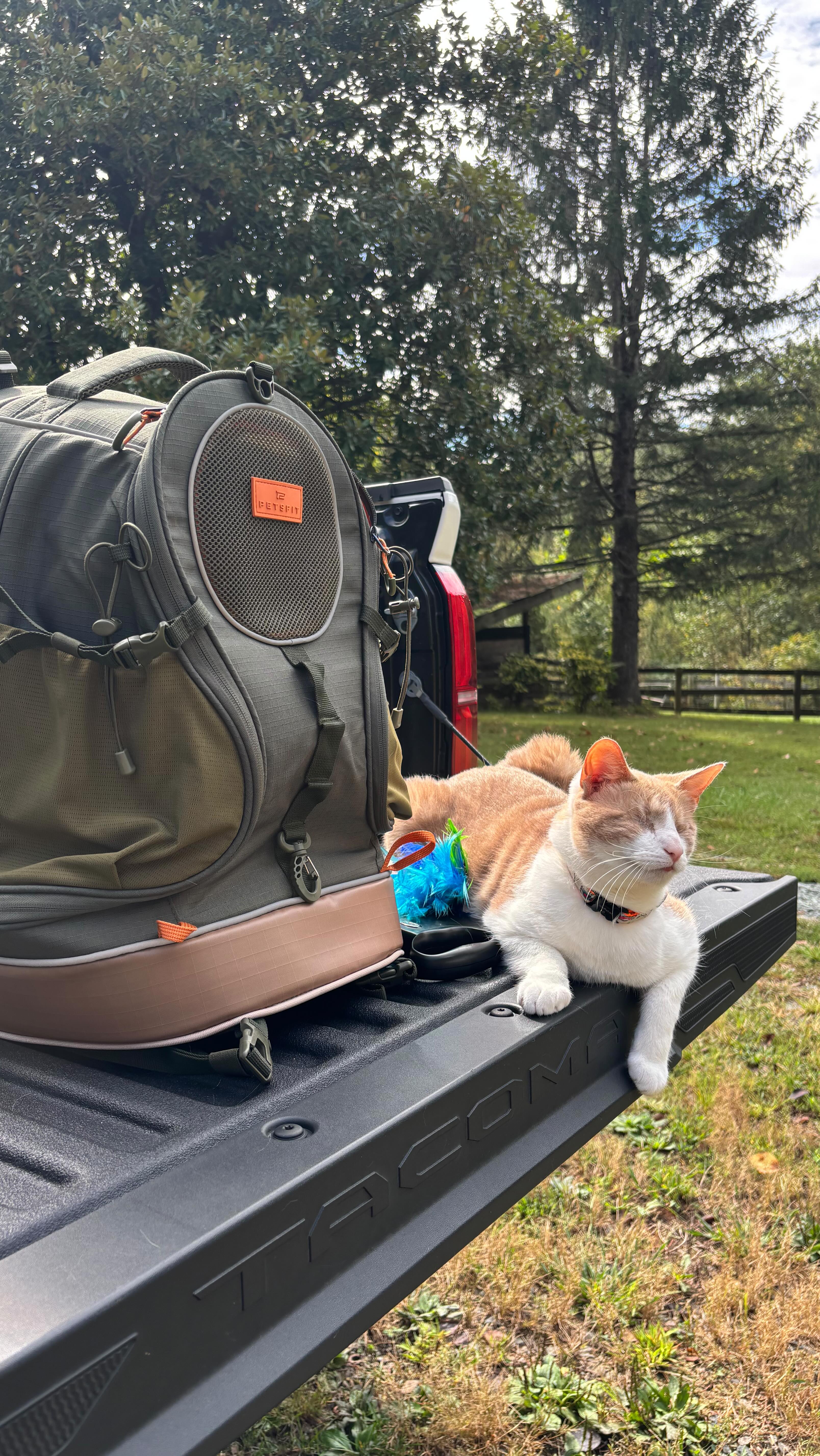 Instagram post by @fantastic.mr.fawkes for Petsfit. Caption reads: Absolutely IN LOVE with our new backpack from....