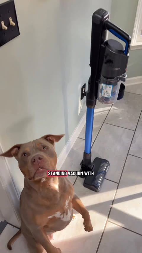 Instagram post by an influencer for BISSELL. Caption reads: [...] Zoe 10/10 recommends the BISSELL PowerClean....
