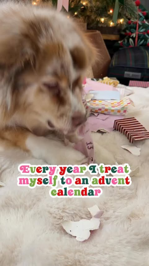 Instagram post by @beauandraven for Earthborn Holistic Pet Food. Caption reads: #ad Treat yourself, and your dogs this season....