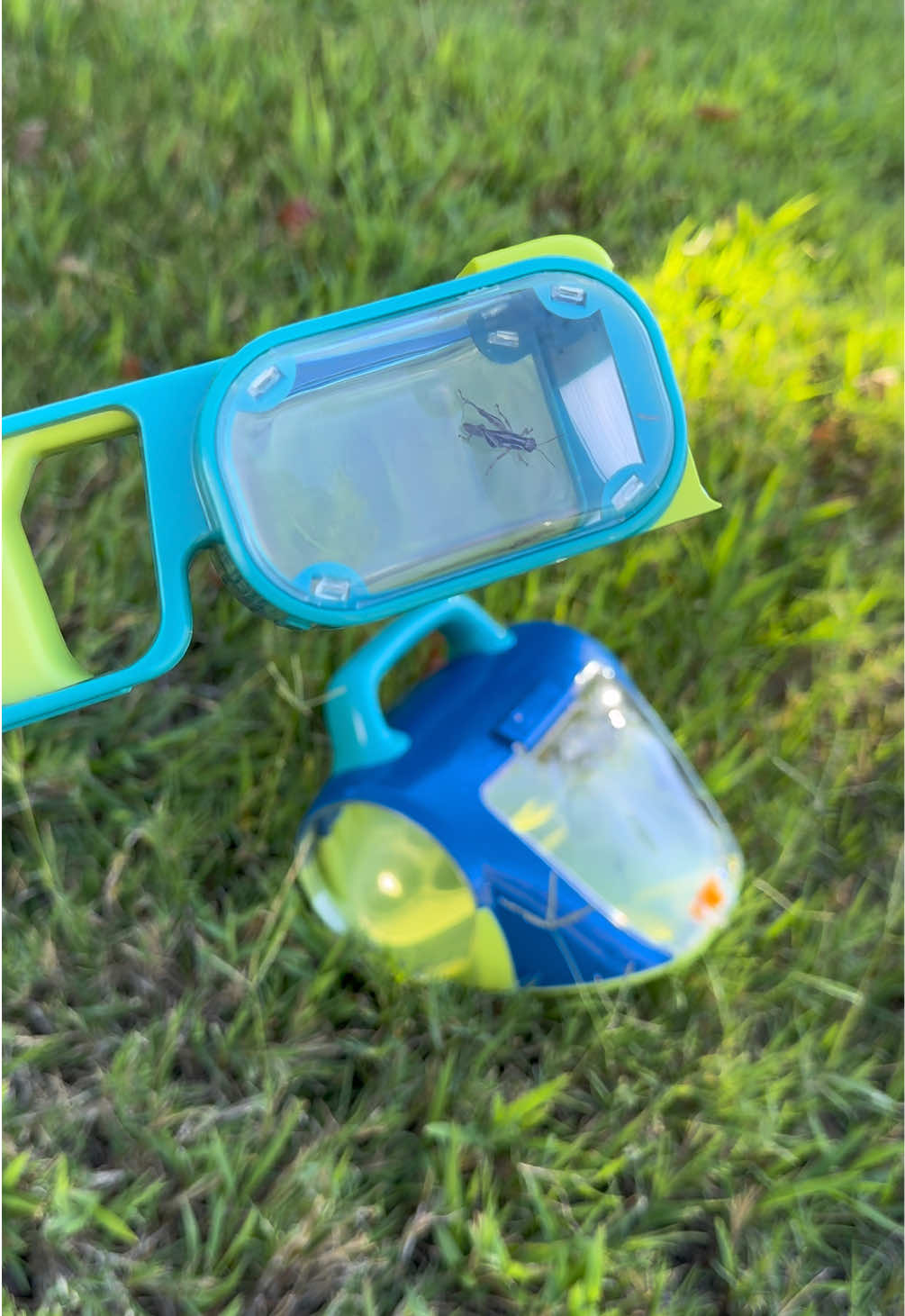 TikTok post by @anabel_homeschool for Educational Insights. Caption reads: [...] with magnifying viewing windows @Educational....