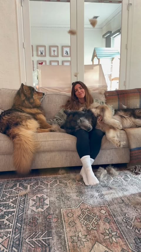 Instagram post by @wander_with_willow for Oneisall. Caption reads: Between the shedding, the vacuuming, and the daily....