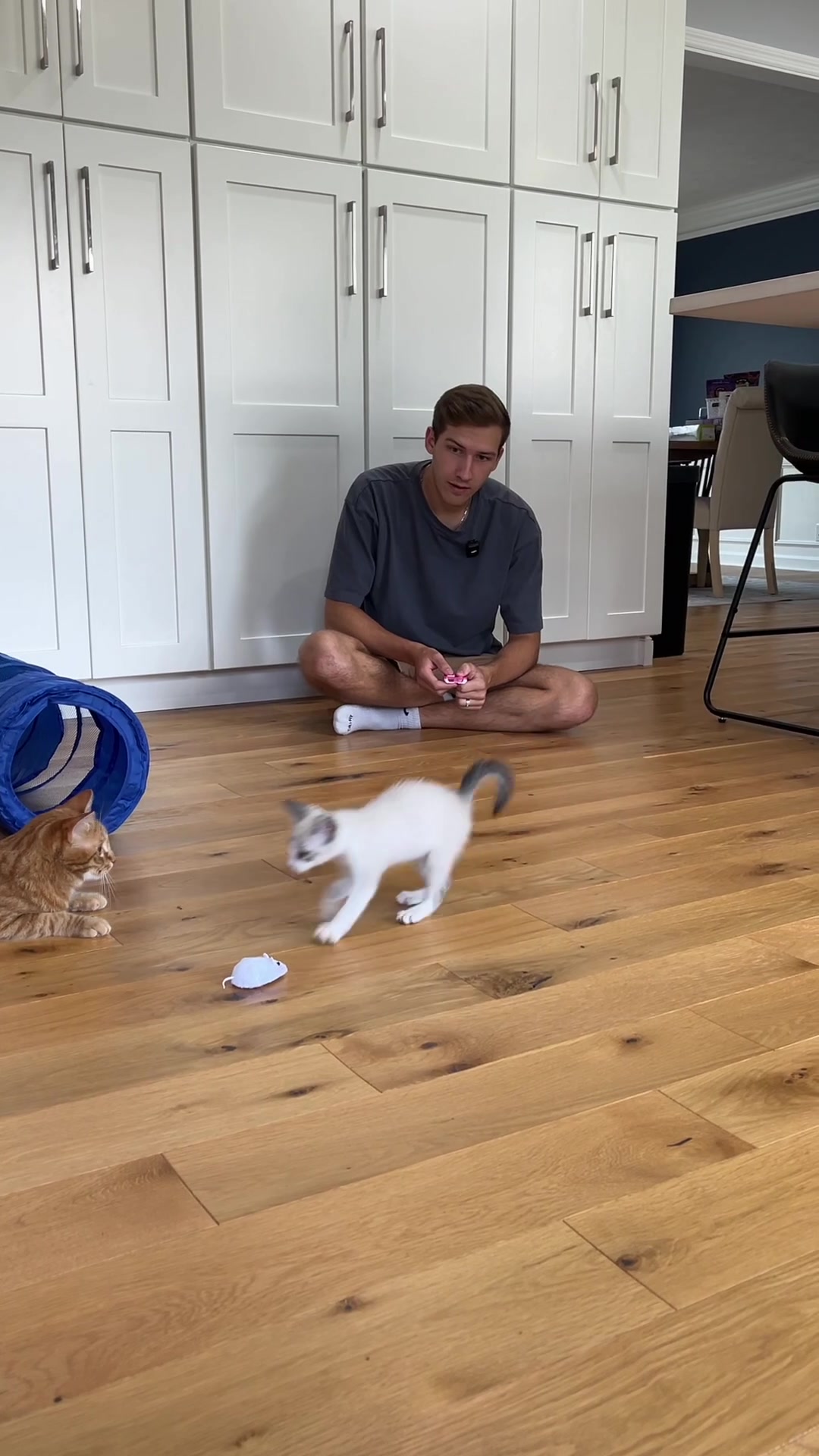 TikTok post by @abrameng for PetSmart. Caption reads: BABY GARY 🥹 @PetSmart is the place for everything....