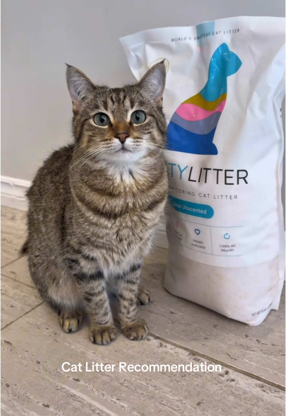 TikTok post by @vettechadventures for PrettyLitter. Caption reads: [...] cats health just got easier with....