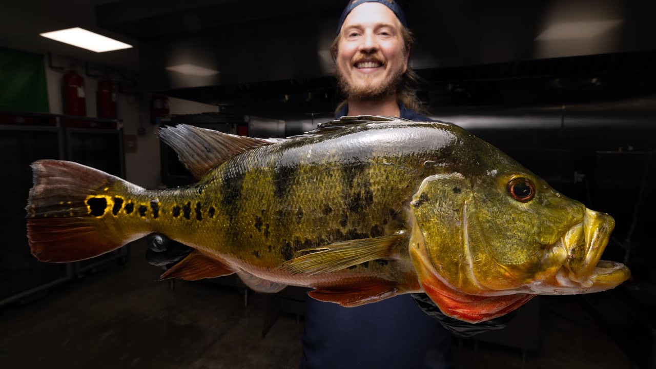 YouTube post by @reedthefishmonger for Chomps. Caption reads: [...] use code FISHMONGER to get 15% off your....