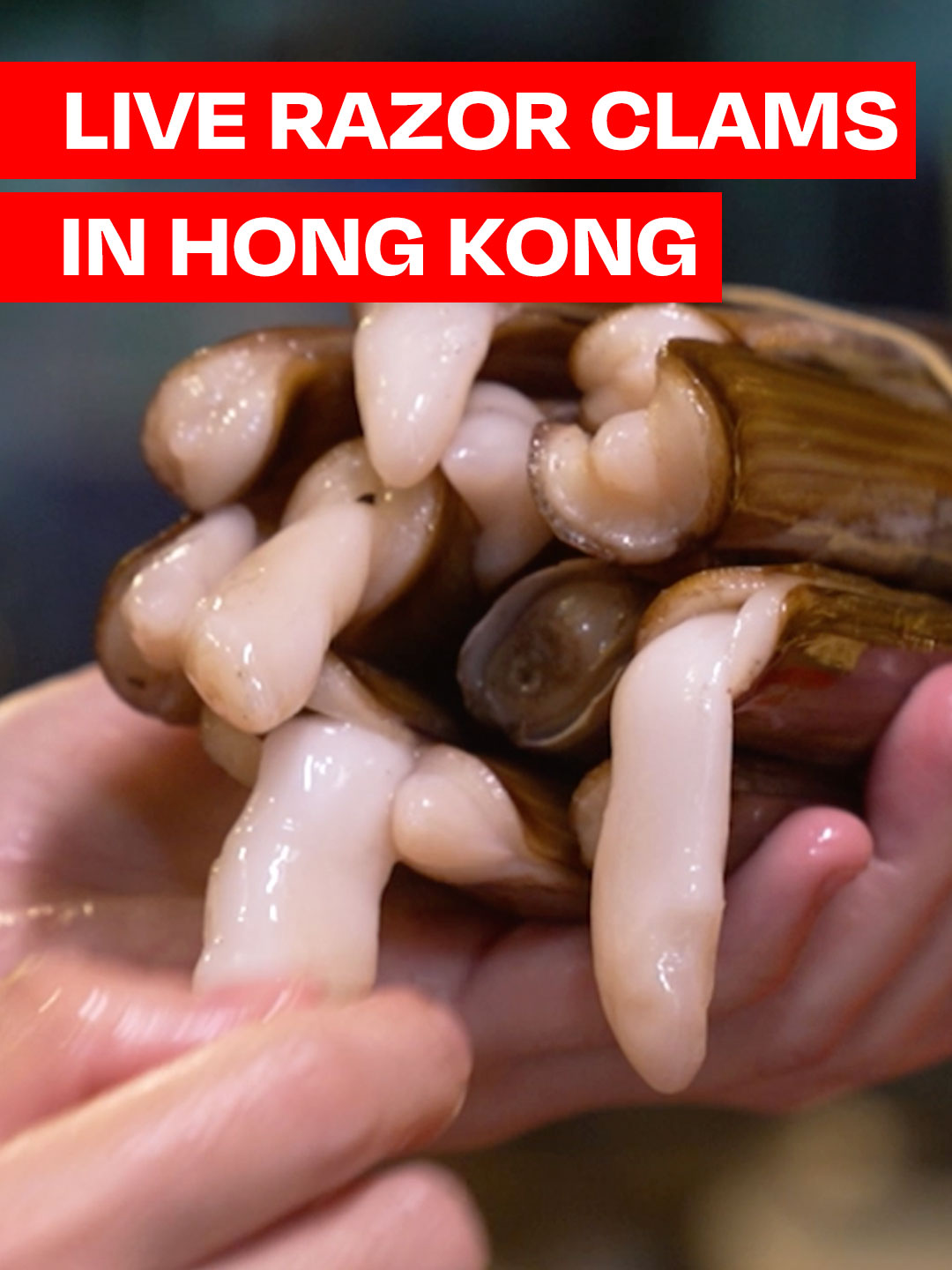 TikTok post by @eater for Discover Hong Kong. Caption reads: Look at those live razor clams. 😲 After cooking....