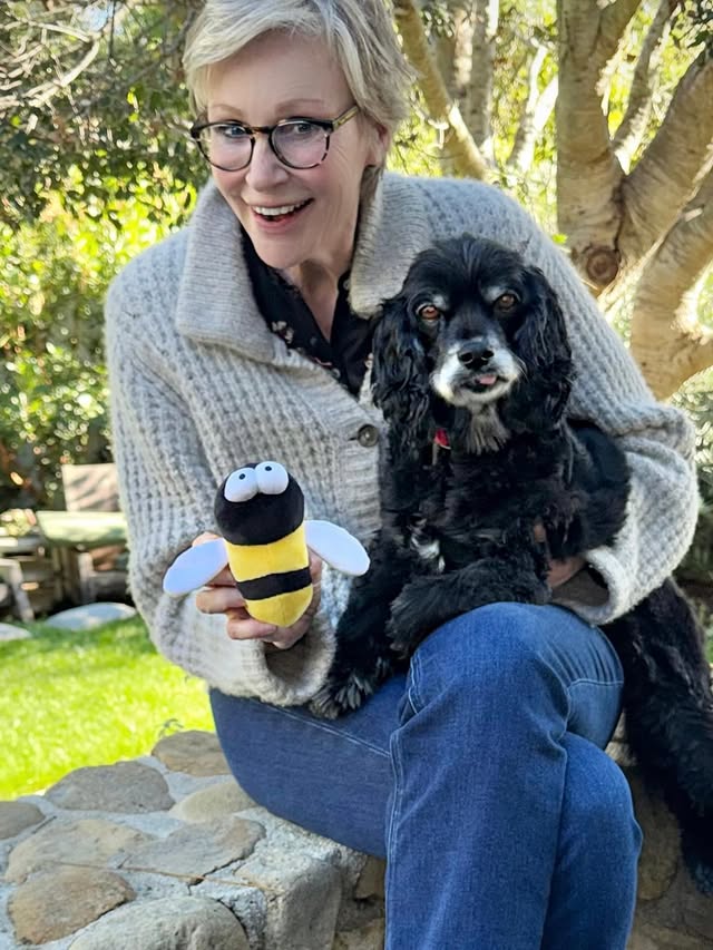 Instagram post by @janelynchofficial for Purina. Caption reads: #ad After 25 years, my training philosophy still....