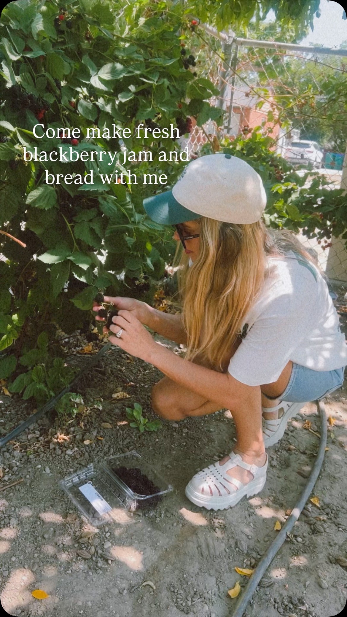 Instagram post by @dani.beck for Esembly Baby. Caption reads: I’ve been wanting to make some fresh blackberries....