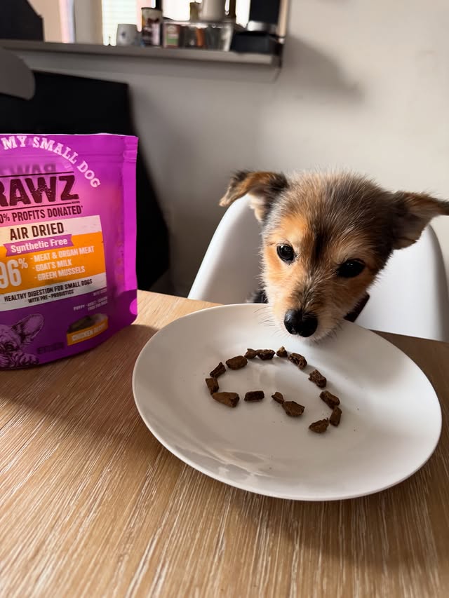 Instagram post by @ziggythemann for RAWZ Natural Pet Food. Caption reads: Ziggy thinks the holidays should be all about....