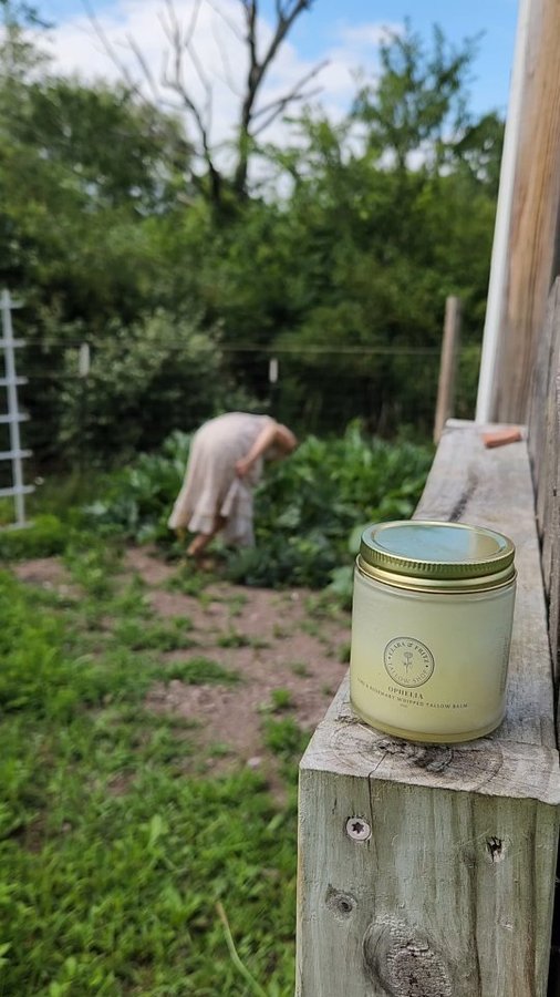 Instagram post by @thistles_and_thread for Clara & Fritz. Caption reads: I used to have my own 'signature scent'. It was my....