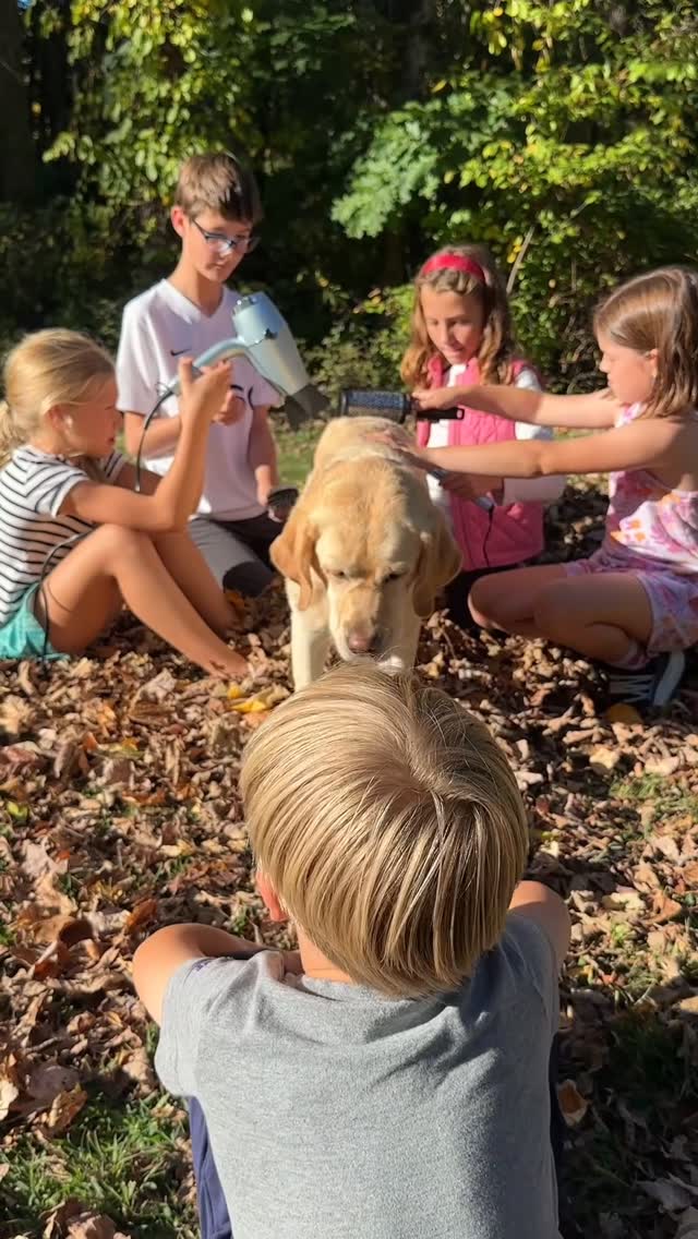 Instagram post by @dognamedstella for Fera Pets. Caption reads: It takes a village… and an assortment of @ferapets....