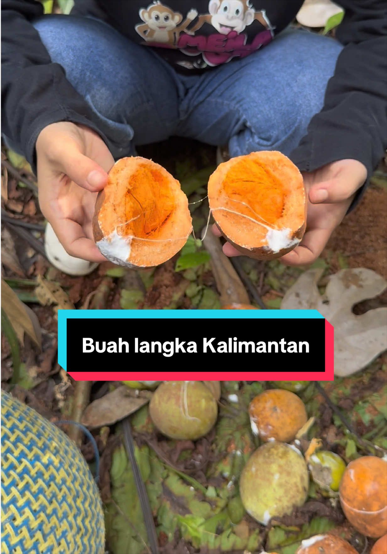 TikTok post by @meilaboots for thinkyup.id. Caption reads: Nekad ambil buah langka kalimantan 😱 @thinkyup.id....