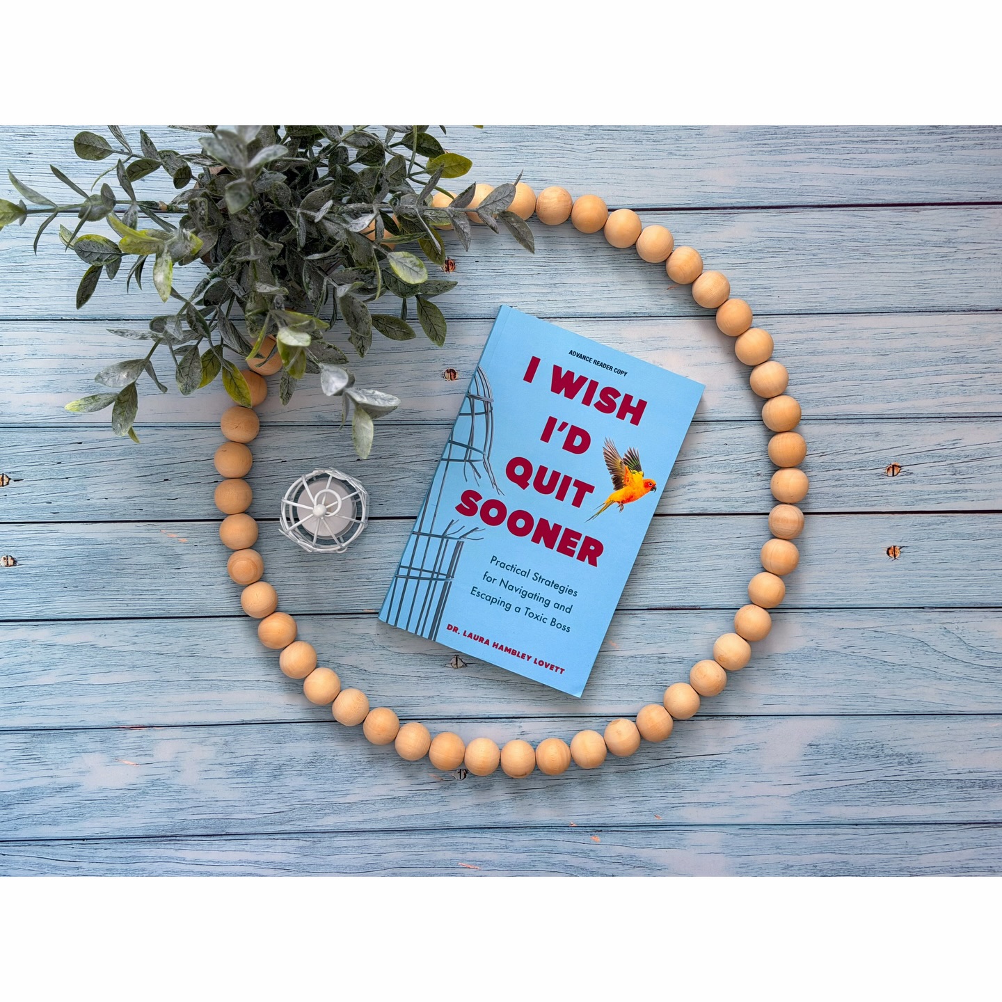 Instagram post by @nissa_the.bookworm for TLC Book Tours. Caption reads: [...] you to partners @drlaura.live and....