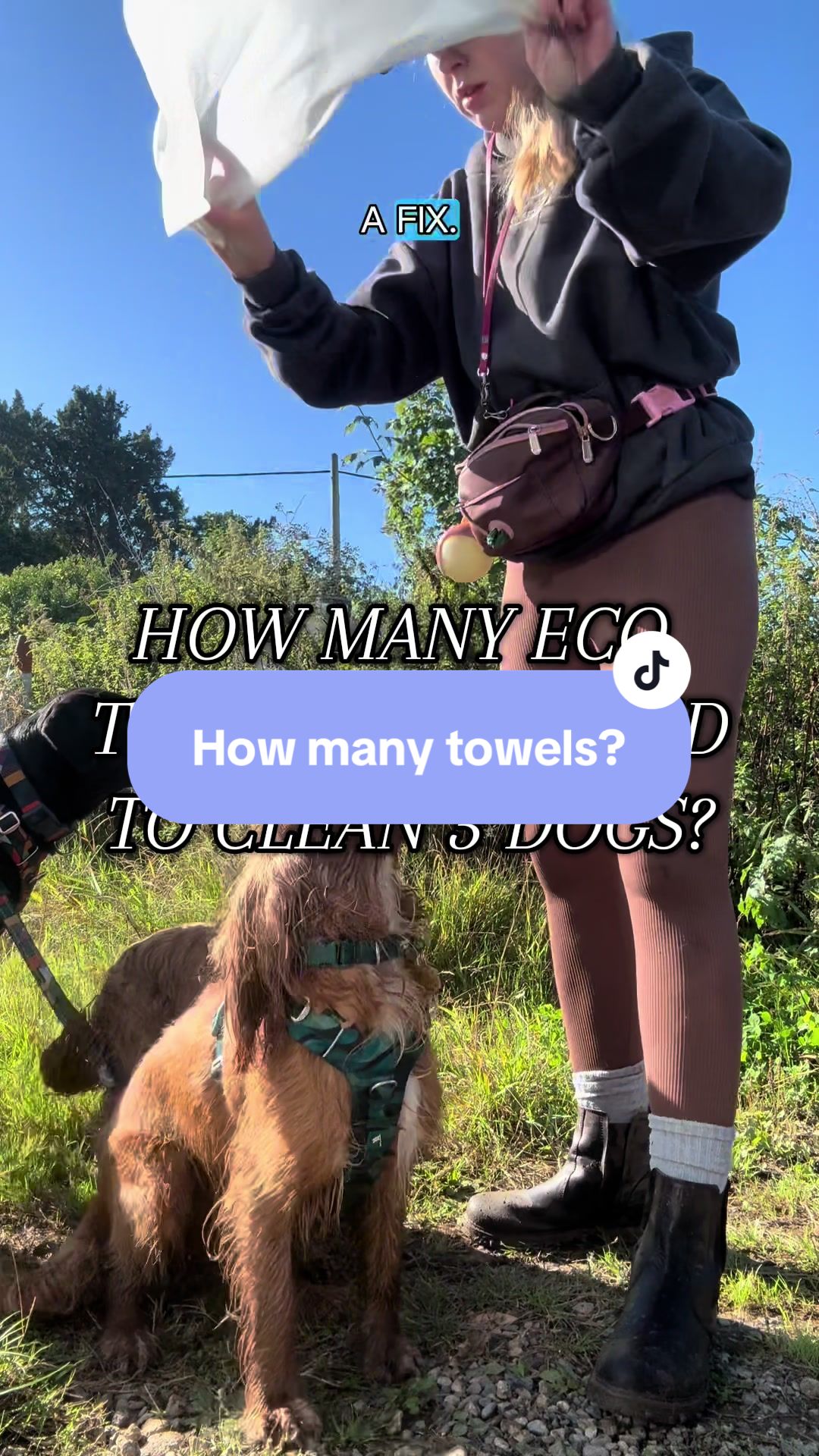 TikTok post by @bestbarkingbehaviour for DotDotPet. Caption reads: How many @dotdotpet to clean 3 dogs?.