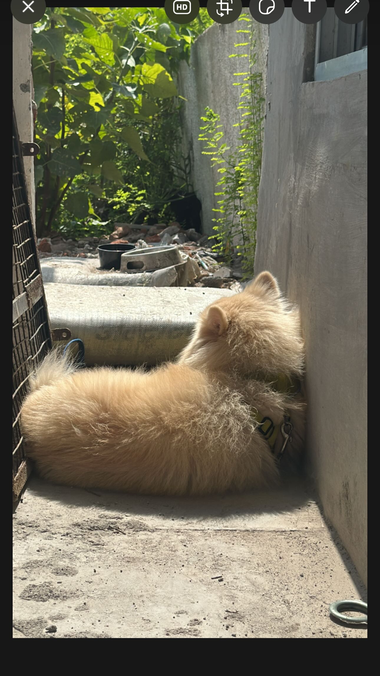Instagram post by @sofia9__official for Marc Jacobs. Caption reads: Mass😎💃🏻😆
🕶️ @marcjacobs.
