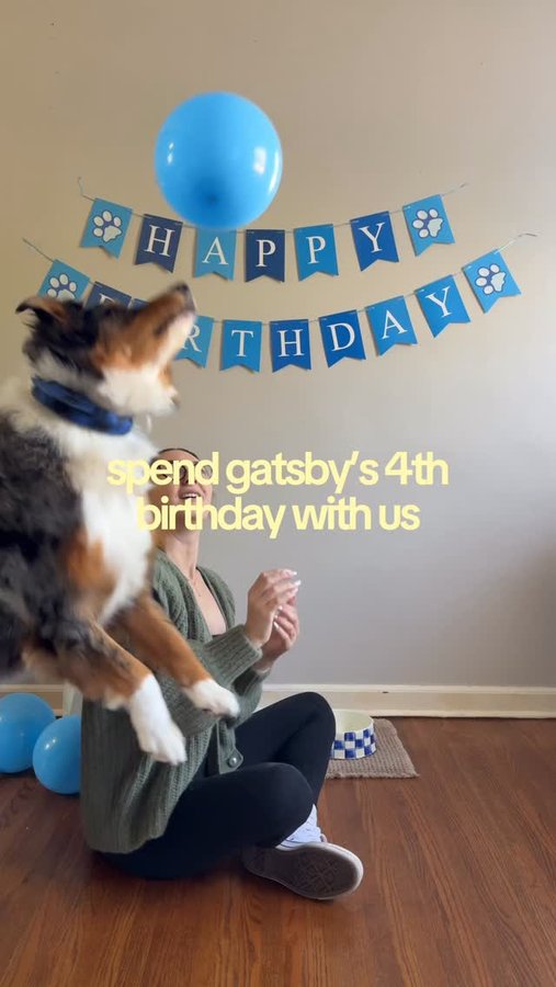 Instagram post by @nashvillewithcaitlin for The Farmer's Dog. Caption reads: It’s Gatsby’s birthday today!! I can’t believe....