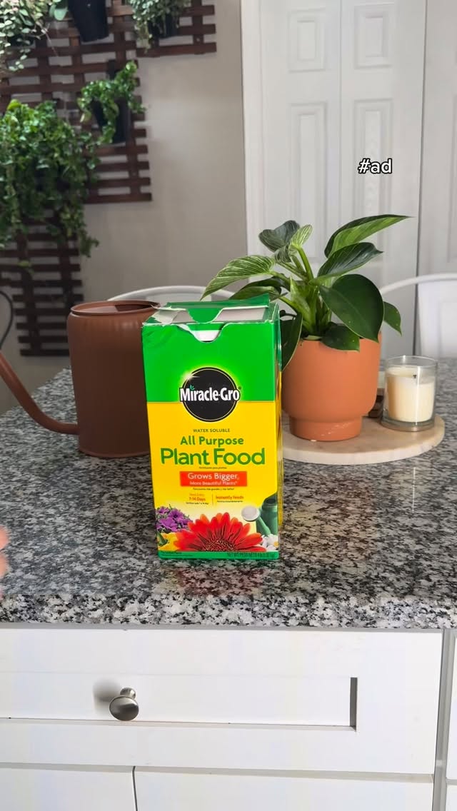 Instagram post by @trinitytropicals for Miracle-Gro. Caption reads: Having an extensive collection of houseplants....