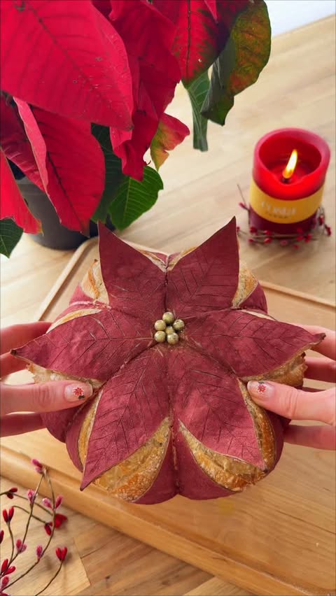 Instagram post by @the.sourdough.mama for Costa Farms. Caption reads: [...] loaf inspired by a beautiful @costafarms....