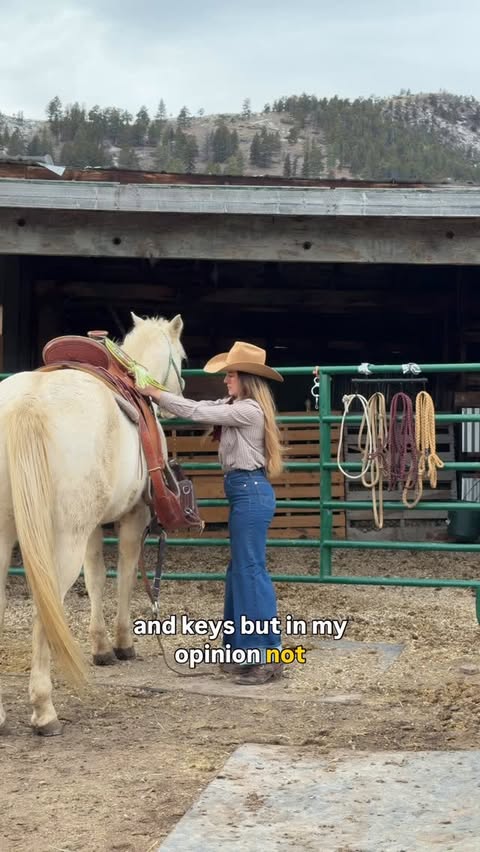 Instagram post by @emogoatmom for Tractive. Caption reads: [...] for my riding partners❤️ get 40% off....