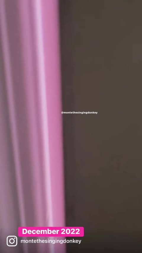 Instagram post by @montethesingingdonkey for Makeship. Caption reads: Still one of THE COOLEST things to ever happen -....