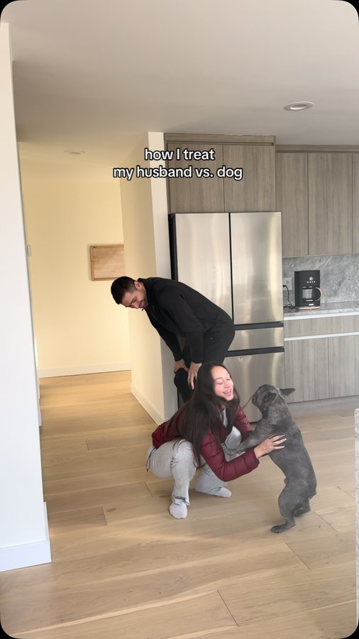 Instagram post by @winstonthefrenchiee_ for Skout's Honor. Caption reads: [...] pampering Winston with my favorite....