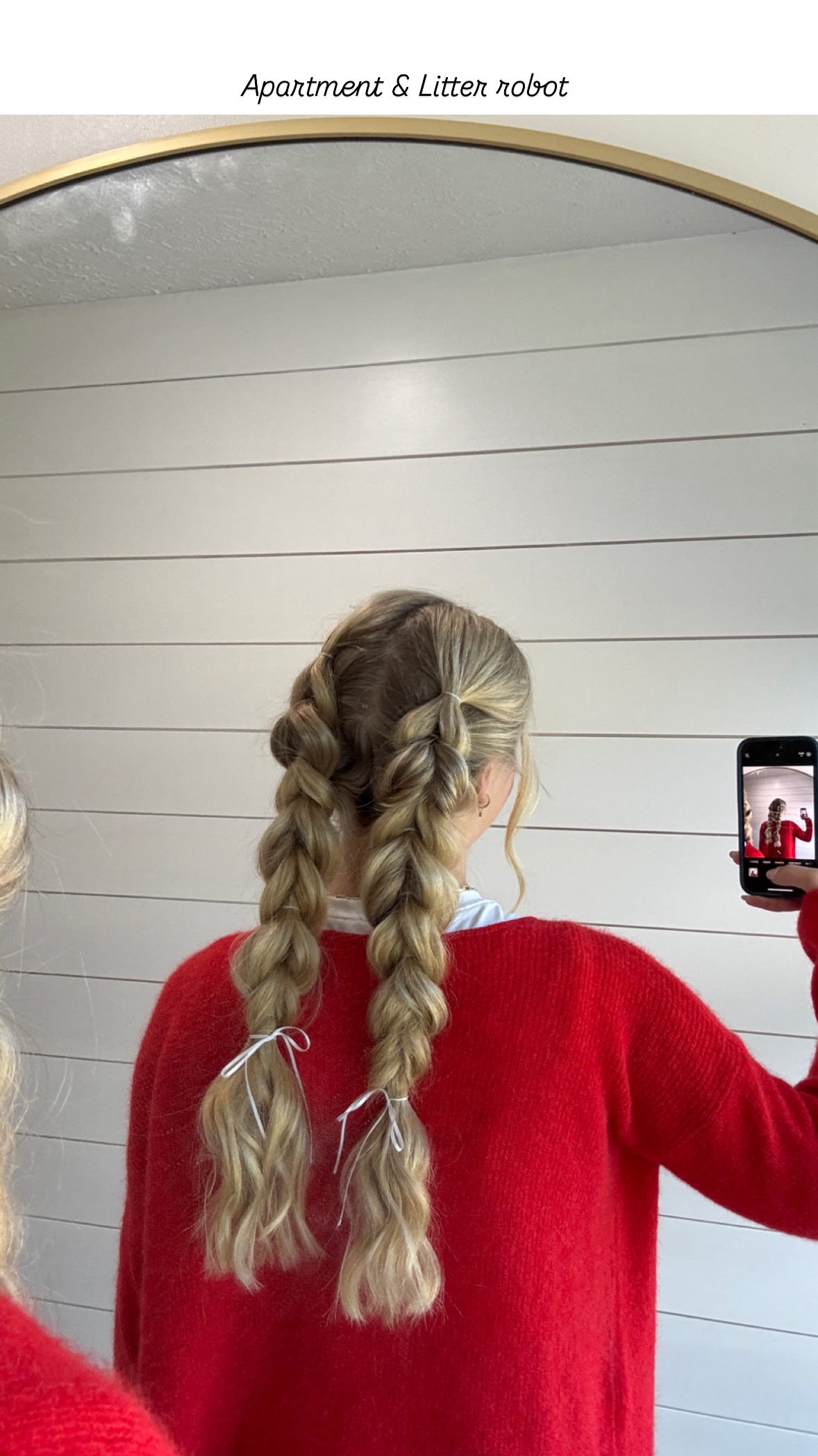 Instagram post by @_morganmaynor_ for Litter-Robot. Caption reads: The best morning routine involves a happy cat and....