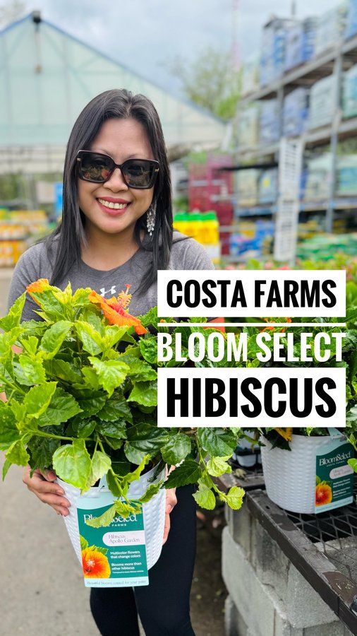 Instagram post by @gingerfootgarden for Costa Farms. Caption reads: [...] to grow them on my deck — thanks to....