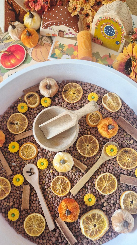 Instagram post by @ourbookishplaydays for Rainbow Eco Play. Caption reads: [...] ✨️ Play tray and dried oranges by....