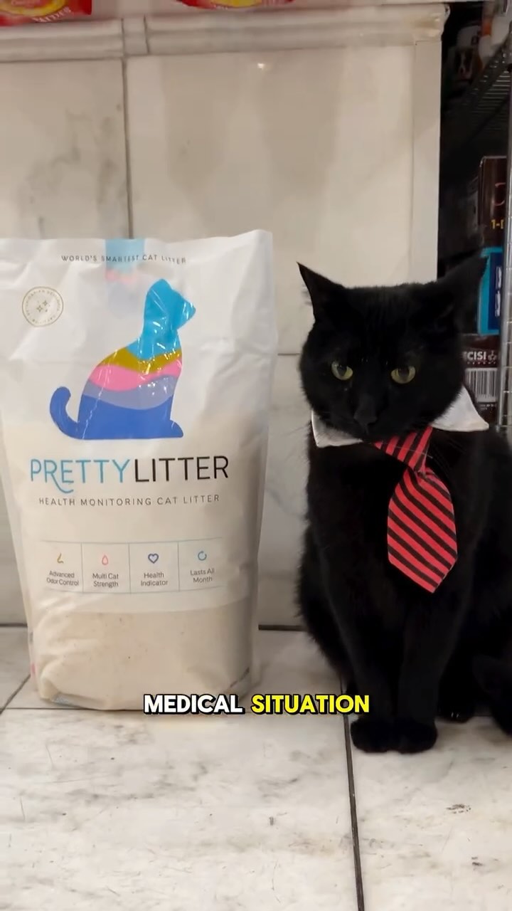 Instagram post by @jeremy.the.manager for Prettylitter. Caption reads: Jeremy encourages you to try @prettylitter Get 20%....