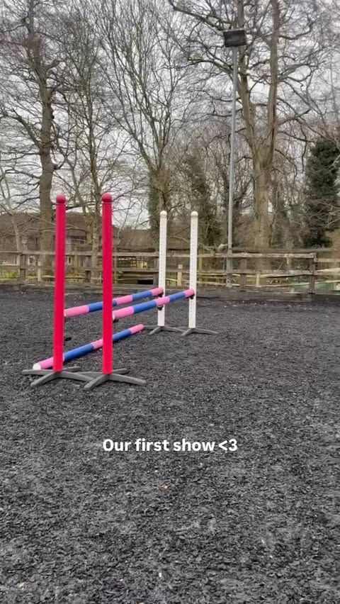 Instagram post by @canterring for Shires Equestrian. Caption reads: So proud of him 🥺
(Ad gifted items)

Improvements....