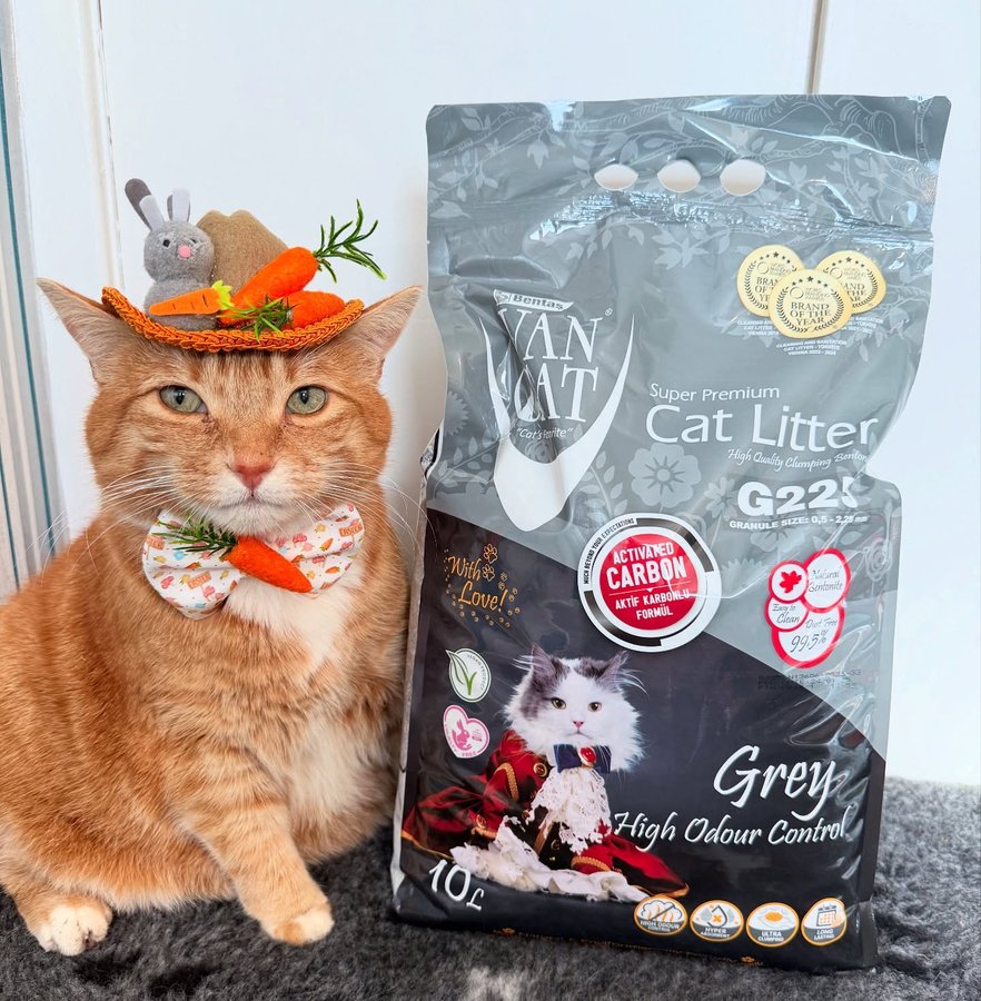 Instagram post by @a_ginger_cat_named_rascal for VanCatUK. Caption reads: Vancat delivery days are the best. 

Hosting this....