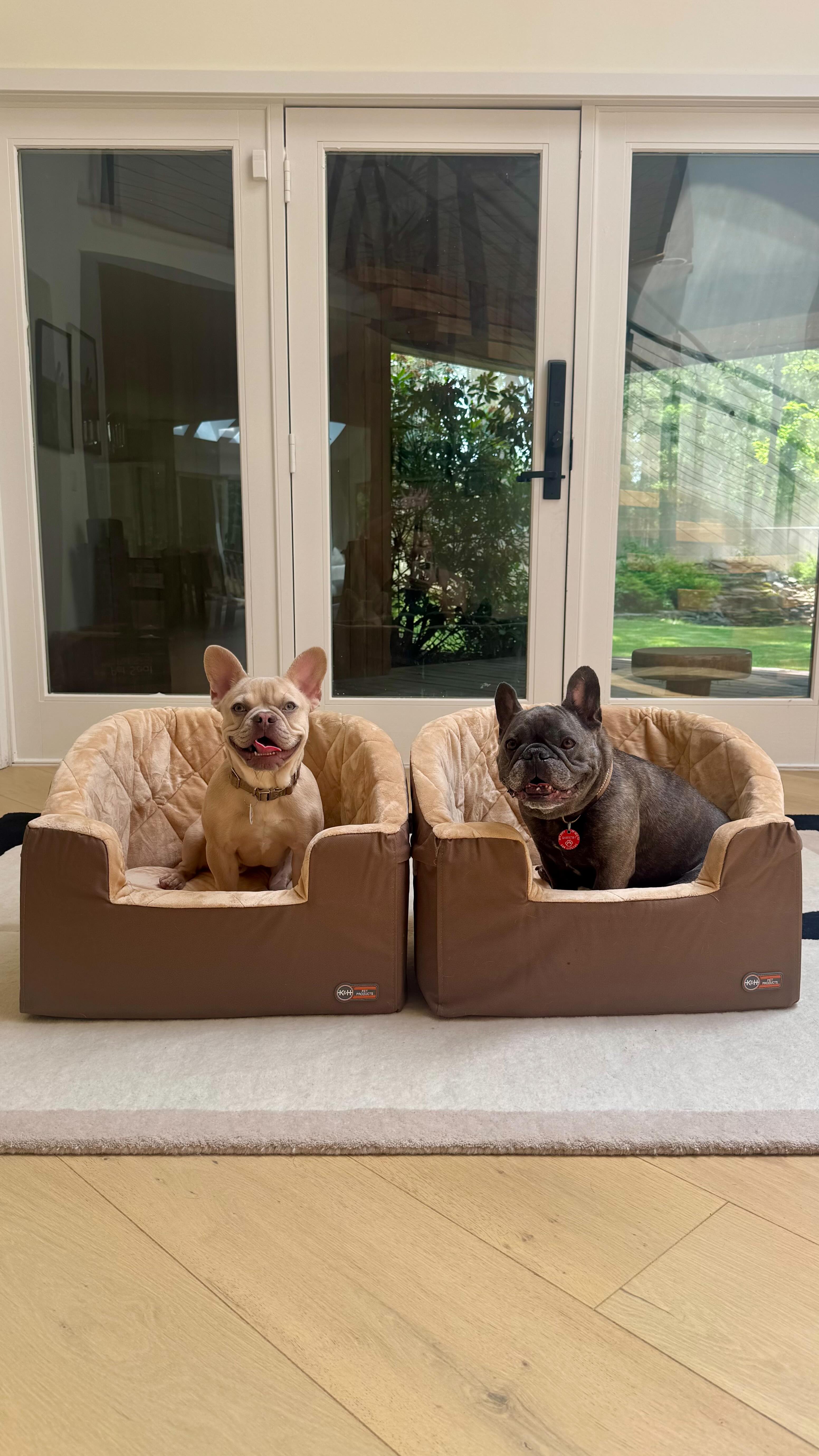 Instagram post by @winstonthefrenchiee_ for Petco. Caption reads: [...] are these K&H Booster Car Seats from @petco....