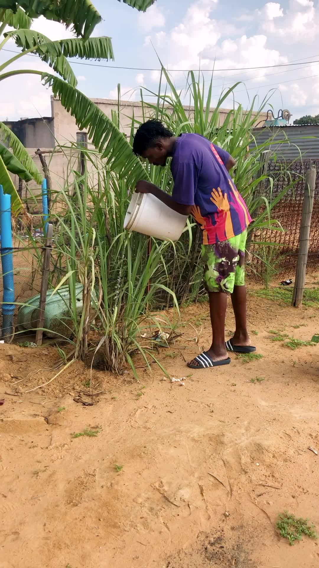 TikTok post by @vandall_comedie for Cheetos. Caption reads: Help 🥲🥲 @Chester Cheetah  #funny #vcomedy.