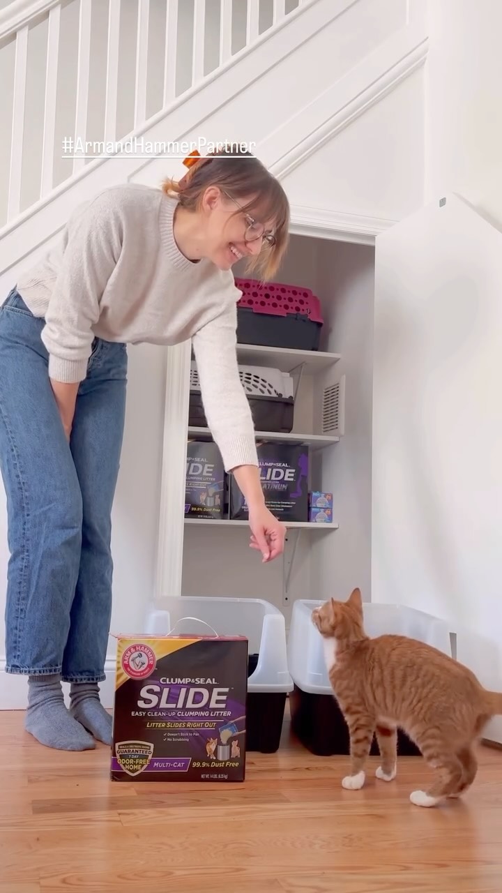 Instagram post by @heidiwranglescats for ARM and HAMMER. Caption reads: My litter box closet fantasy wouldn’t be complete....