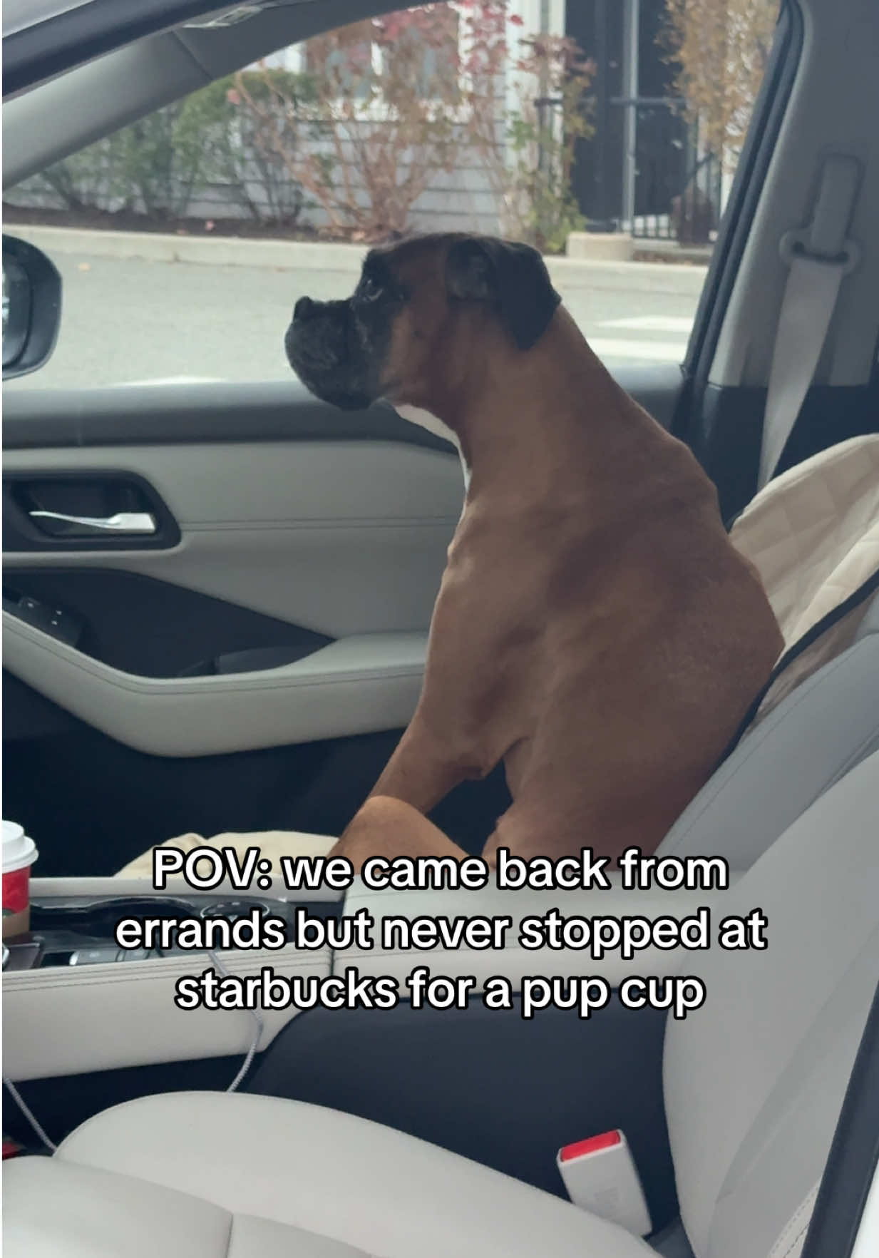 TikTok post by @princess.poppyyy for Starbucks. Caption reads: And we are now headed to @Starbucks 🤣 #dogtok....